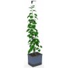 Gusta Garden GG-144C10