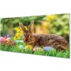 Sklenený obraz Králik vajcia lúka 100x50 cm