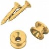 D'Addario Planet Waves PWEP 302 Gold Strap Lock