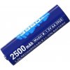 Xtar AA 1.5V 3960 2500mAh