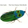 The Very Clumsy Click Beetle