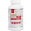 Wish Coenzyme Q10 Forte 100 mg 120 kapsúl