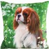 Takoy Velúrová Obliečka na vankúš ANIMAL zdobená potlačou psa-HF-464115 | 45 x 45 cm