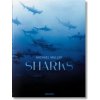 Sharks (Michael Muller)(Pevná)