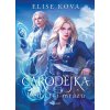 Čarodějka - Dědictví mrazu (Elise Kova)