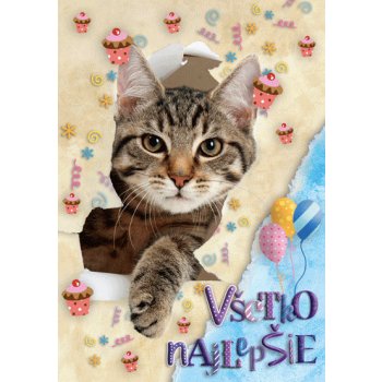 Pohladnica k narodeninám Všetko Najlepšie Mačička od 1,9 € - Heureka.sk
