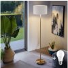 Polux | LED stojacia lampa TUNJA 1xE27/20W/230V, priemer 38 cm, zlatá/biela | SA2189H
