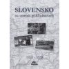 Slovensko na starých pohľadniciach 1918 - 1939 - Ján Hanušin; Daniel Kollár; Ján Lacika