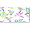 Fotoobraz na skle kolibrík 100x50 cm