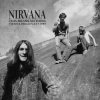 2LP Nirvana: This Means Nothing (2lp)