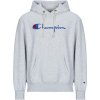 Champion Hooded Sweatshirt šedá