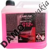 CARLINE ANTIFREEZE G12+ - 3l