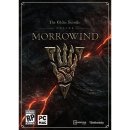 Hra na PC The Elder Scrolls Online: Morrowind