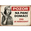 Ceduľa Pozor na pani domácí - Pes je neškodný 30cm x 20cm Plechová tabuľa
