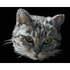 zuty Zuty - Maľovanie Podľa Čísel - Šedá Mačka Portrét, 80X100 Cm, Plátno+Rám (8596530094432)