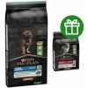 Purina Pro Plan Large Puppy Robust Sensitive Digestion jahňacie 12 kg