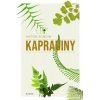 Kapradiny