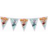 Procos Banner Paw Patrol Skye & Everest