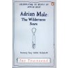 Adrian Mole: The Wilderness Years - Sue Townsend