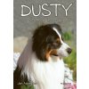 E-kniha: Dusty: Stratený bez stopy