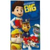DETEXPOL Detský uterák Paw Patrol no job Bavlna - Froté, 50/30 cm