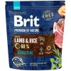 BRIT Premium by Nature Sensitive Lamb 1 kg