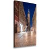 Vertikálny foto obraz na plátne Krakov Poľsko 50x100 cm