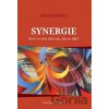 Synergie - Karel Červený