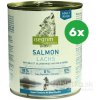 Isegrim dog Adult Salmon with Millet, Blueberries & Wild Herbs 6 x 0,8 kg
