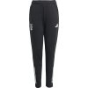 adidas Liverpool FC European Training Pants 2025/26 Kids jv9003