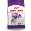 ROYAL CANIN SHN GIANT ADULT 4kg -granule pre dospelých psov obrích plemien