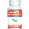 ALAVIS™ MSM + Glukózamín sulfát 60 tbl