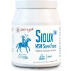 BARNY'S Sioux MSM Super Forte 600 g