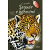 Jaguár v kocovině - Jan Dungel