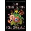 Dark Constellations (Oloixarac Pola)