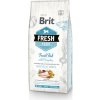 BRIT Dog Fresh Fish & Pumpkin Adult Large 12 kg