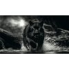 Obraz na plátne Black Panther 180x100 cm