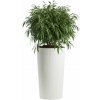 HowHomely PLASTOVÝ KVETINÁČ URBANIKA ECO 75X41 CM BIELA