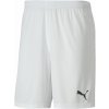 Pánske šortky Puma, TEAM GOAL 23 KNIT SHORTS Biela,Čierna M