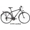 KELLYS ALPINA ECO T10 2024 Grey Veľkosť rámu: S