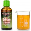 Breza púčiky 50 ml - gemmoterapie
