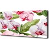 Foto obraz na plátne Ružové orchidee 100x50 cm
