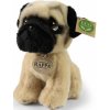Eco-Friendly Rappa pes mops 18 cm