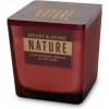 Sviečka NATURE Jantarové drevo & vetiver, 90g