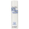 Šampón proti lupinám Artégo Clarity Shampoo Anti-dandruff Easy Care T - 250 ml (0165715)