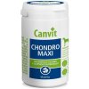 Canvit Chondro Maxi 166 tbl. 500 g