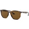 slnečné okuliare Ray-Ban POLARIZED RB4306 710/83 - 54/19/145