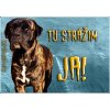 Pozorpes.sk, výstražná tabuľka (Cane corso)