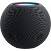 Apple HomePod Mini Stary Grey Speaker