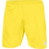 Adidas Parma 16 M AJ5891 football shorts (75929) 116